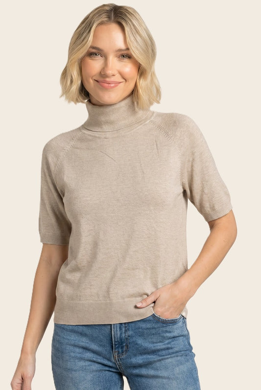 Cooper Turtleneck Solid Sweater