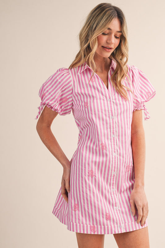 Candy Striped Paisley Embroidery Button Down Mini Dress