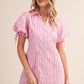 Candy Striped Paisley Embroidery Button Down Mini Dress