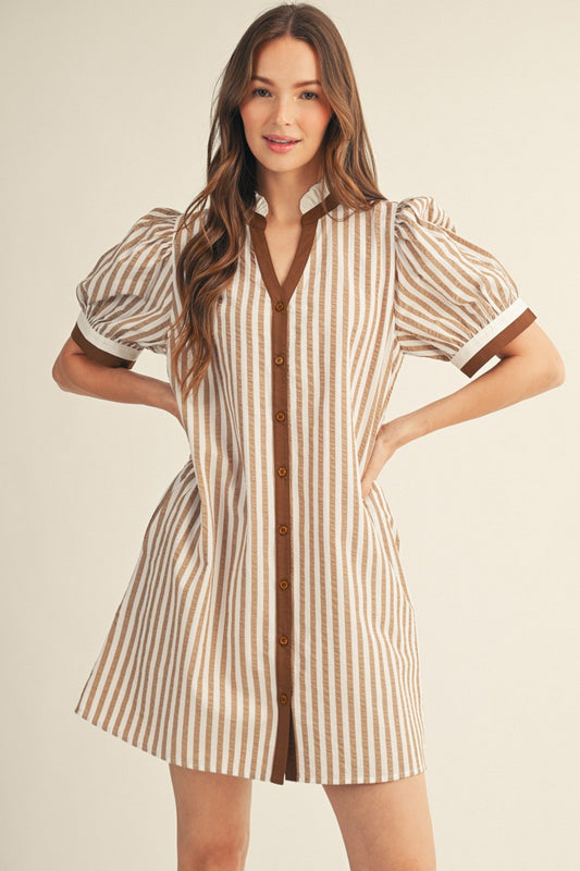 Chelsey Button Down Stripe Shift Dress