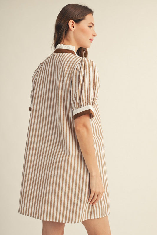 Chelsey Button Down Stripe Shift Dress