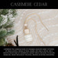 HOLIDAY CAR DIFFUSER
