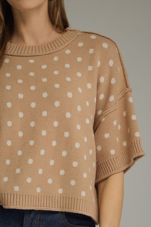 Truth Polka Dot Round Neck Short Sleeve Sweater