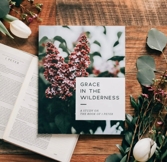 Grace in the Wilderness
