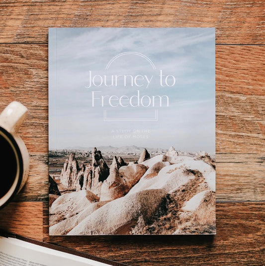 Journey to Freedom The Life of Moses - Men