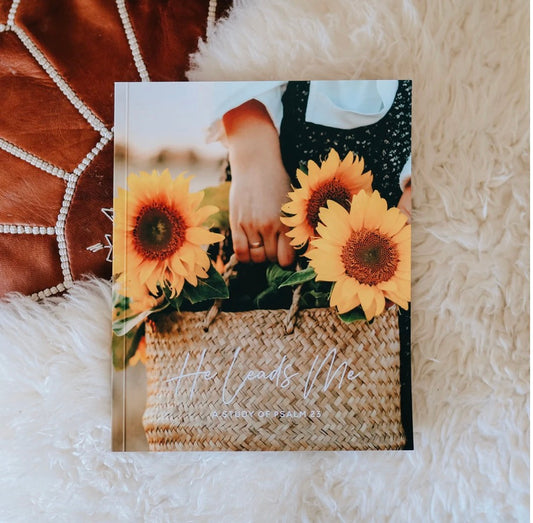 He Leads Me A Study of Psalm 23